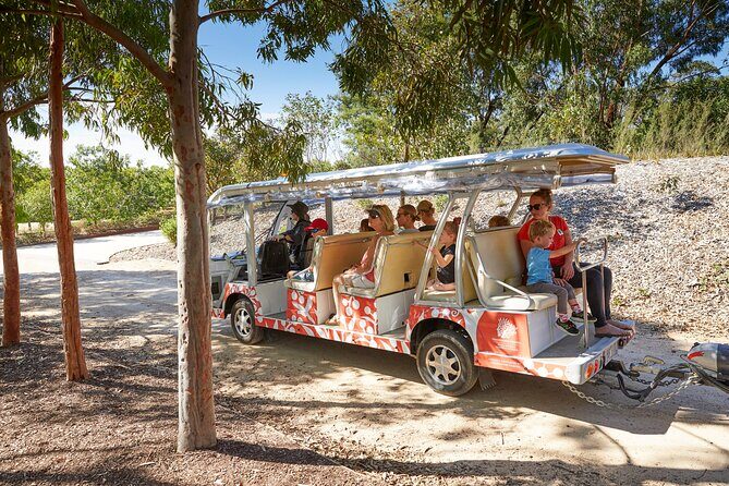 The Explorer - Cranbourne Gardens - Exploring the Cranbourne Gardens by Bus: A Practical Review