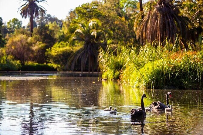 The Explorer - Melbourne Gardens - Authentic Insights from Travelers