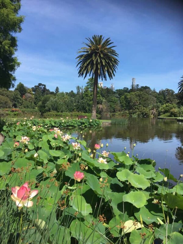 The Famous Melbourne City Bike Tour - The Practicalities: What to Expect and How to Prepare