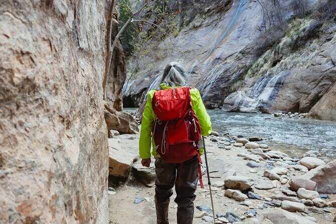 The Famous Narrows Trail in Zion National Park - Overview of the Tour Experience