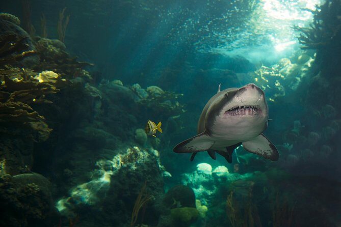 The Florida Aquarium in Tampa General Admission - FAQ