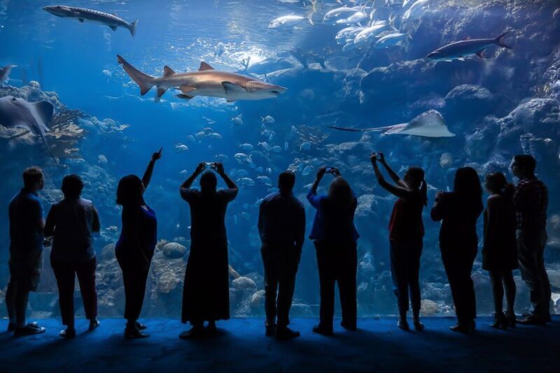 The Florida Aquarium Ticket - Key Points
