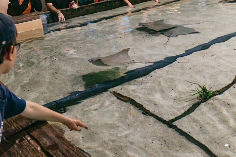 The Florida Aquarium Ticket - The Sum Up