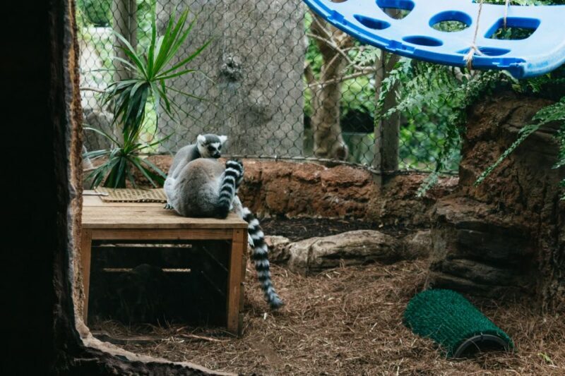 The Florida Aquarium Ticket - FAQ