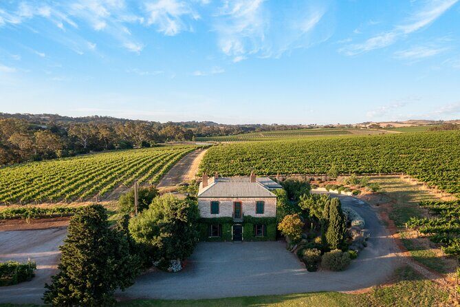 The Florita Wine Tasting Experience - The Florita Wine Tasting Experience: A Genuine Look