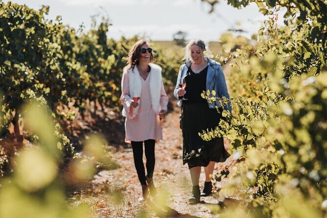 The Florita Wine Tasting Experience - The Experience in Context
