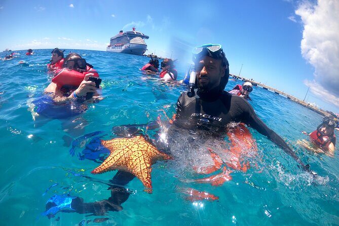 The Frederiksted St. Croix Sea Turtles Snorkeling Tour - What to Expect During the Tour