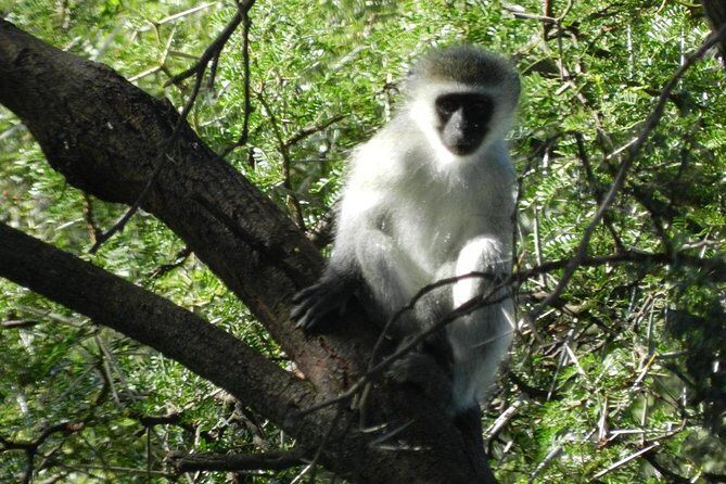 The Garden Route from Port Elizabeth to The Crags - FD07 - Who Should Consider This Tour?