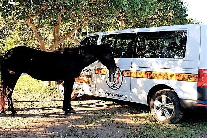 The Garden Route from Port Elizabeth to The Crags - FD07 - FAQ