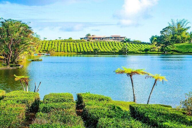 The Gorgeous East: Bois Cheri Tea factory, Rhumerie St-Aubin, Mahebourg & Lunch - Key Points
