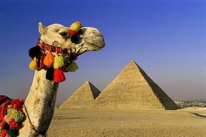 The Grand Egyptian Museum, Giza Pyramids & Sphinx Including Lunch - Pyramids of Giza: The Iconic Masterpieces