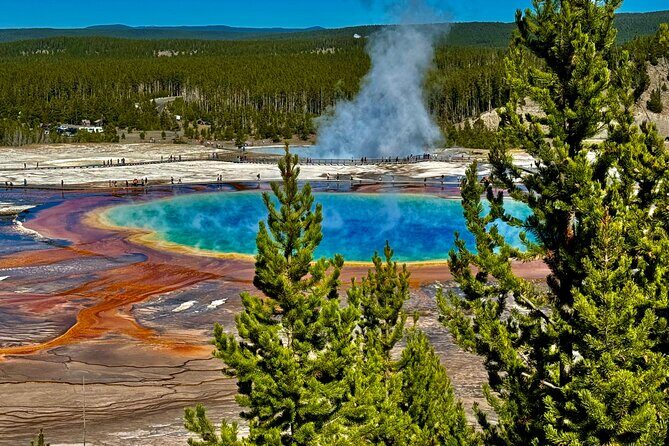 The Grand Yellowstone 3 day private experience from Cody Wyoming - Starting with the Iconic Old Faithful
