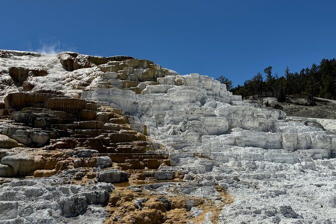 The Grand Yellowstone 3 day private experience from Cody Wyoming - Geothermal Features and Wildlife in the Mud Volcano and Hayden Valley