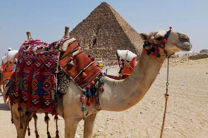 The Great Egyptian Museum and Giza Pyramids and Sphinx - Lunch and Return