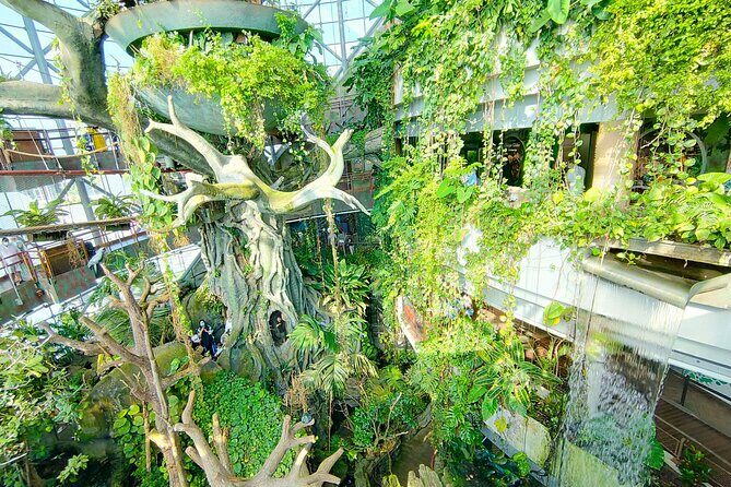 The Green Planet Dubai with Options - Discovering The Green Planet Dubai: An Indoor Rainforest Adventure