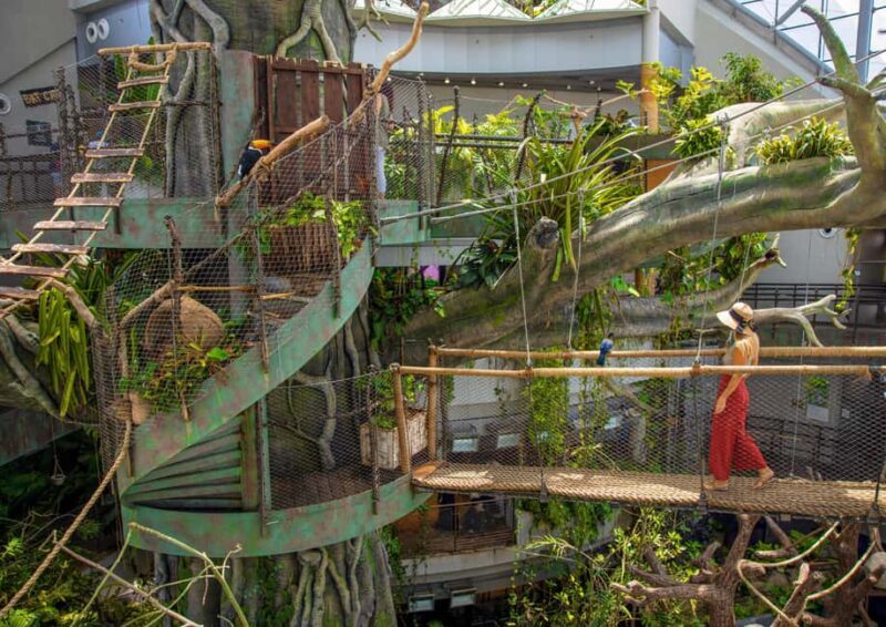 The Green Planet - Dubai's Unique Indoor Rainforest - A Nature Break in the Middle of the Desert