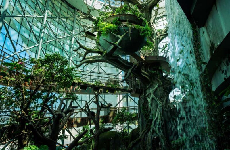 The Green Planet - Dubai's Unique Indoor Rainforest - The Sum Up: Who Should Visit The Green Planet?