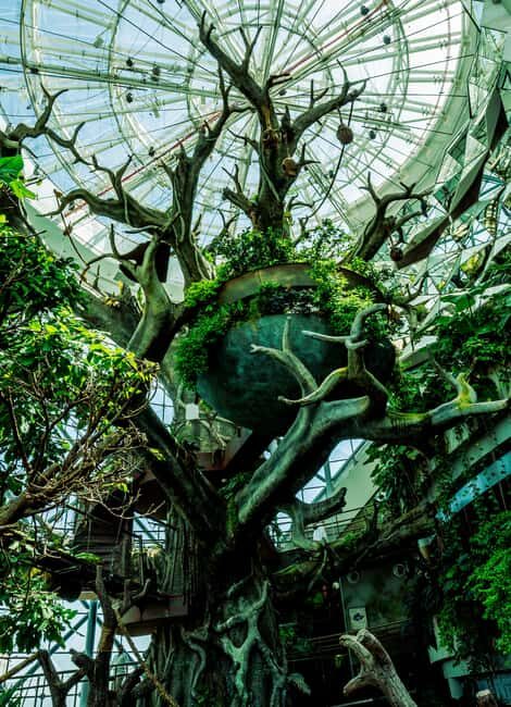 The Green Planet - Dubai's Unique Indoor Rainforest - FAQ