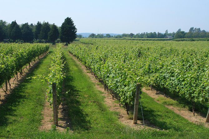 The Hamptons and Long Island Wineries Private Tour - FAQs