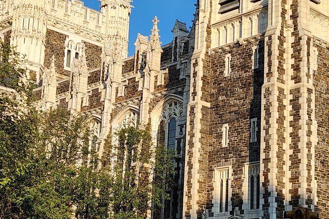 The Heart of Harlem: A Self-Guided Audio Tour in NYC - The Sum Up