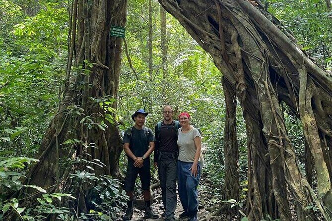 The Hidden Trails of Cat Ba - An In-Depth Look at the Itinerary