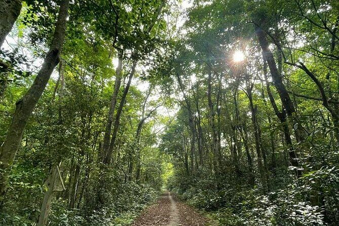 The Hidden Trails of Cat Ba - FAQ: Quick Questions About the Tour