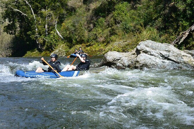The Hobbit Barrel Run Rafting Tour on the Pelorus River - Why This Tour Is Worth It