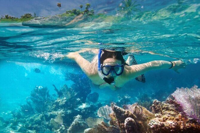 The Jewel of Muscat Sea, Daymaniyat Islands - The Real Value in the Experience
