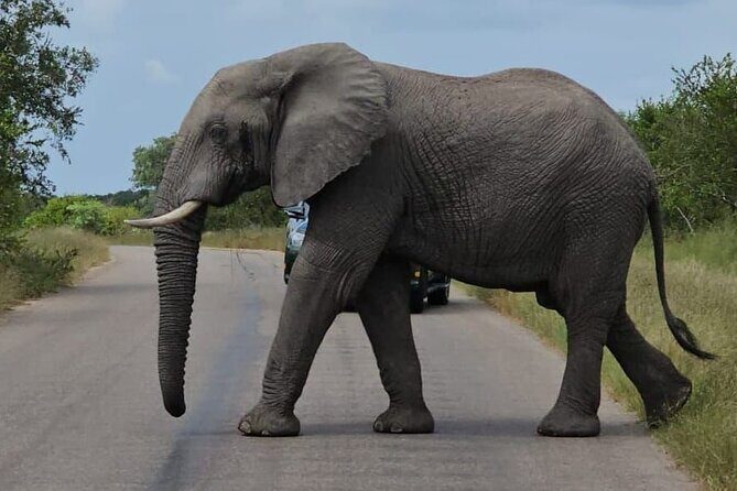 The Kruger National Park - Full Day Tour - Who Will Love This Tour?