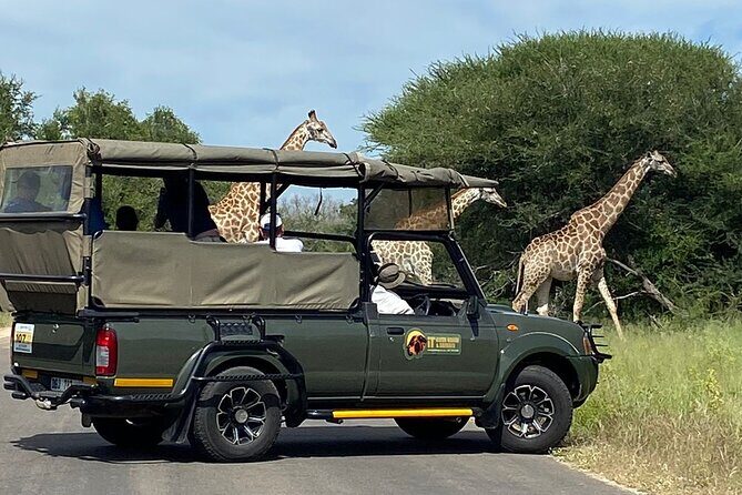 The Kruger National Park - Full Day Tour - The Sum Up