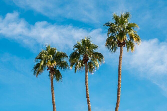 The Legends & Icons Tour of Palm Springs - The Flipside: Considerations and Drawbacks