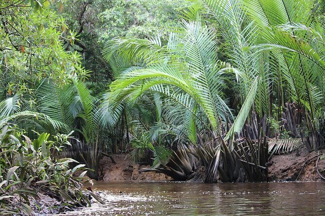 The Little Amazon and Sri Phang Nga Waterfall Full Day Tour From Khao Lak - Who Would Love This Tour?