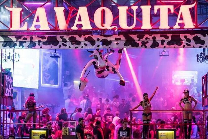 The little cow - What to Expect from the Tour
