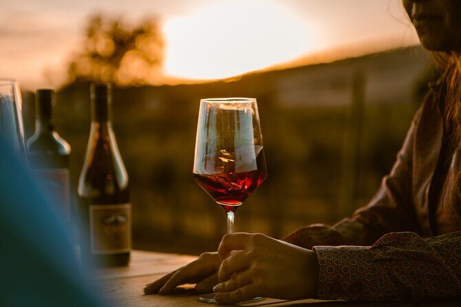 The Luxe Wine Trail Excursion Paso Robles - Who Will Love This Experience?