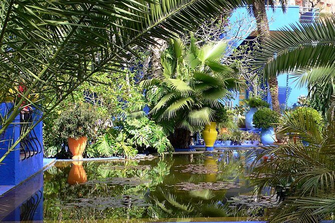 The Majorelle Garden with ticket and the palm grove on camelback - Key Points
