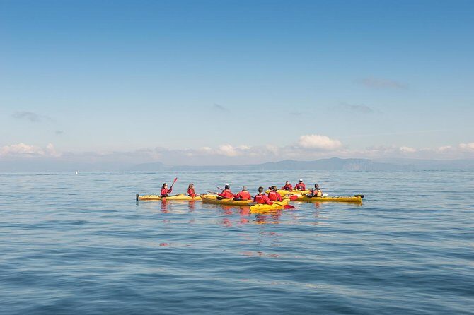 The Maori Carvings Half Day Kayak - Who Will Love This Tour?