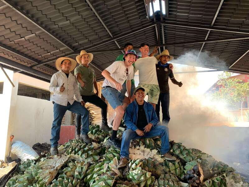 The Mezcal Journey - Summary