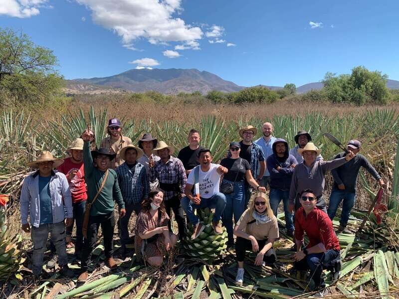 The Mezcal Journey - FAQ