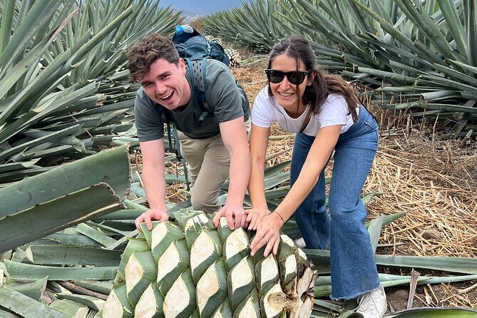 The Mezcal Journey - Final Tasting and Reflection