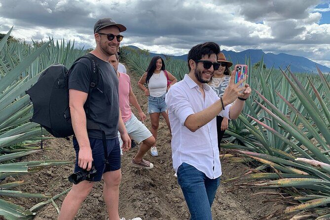 The Mezcal Journey - The Value and Practicalities