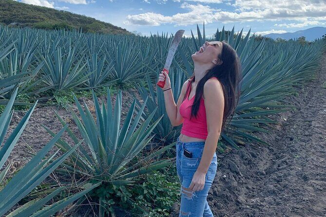 The Mezcal Journey - Who Should Book This Tour?