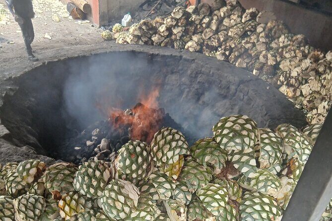 The Mezcal Tour - FAQ