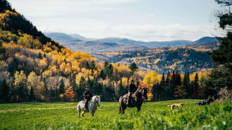The Montagnarde: Guided horseback ride on mountain trails. - What Reviewers Say