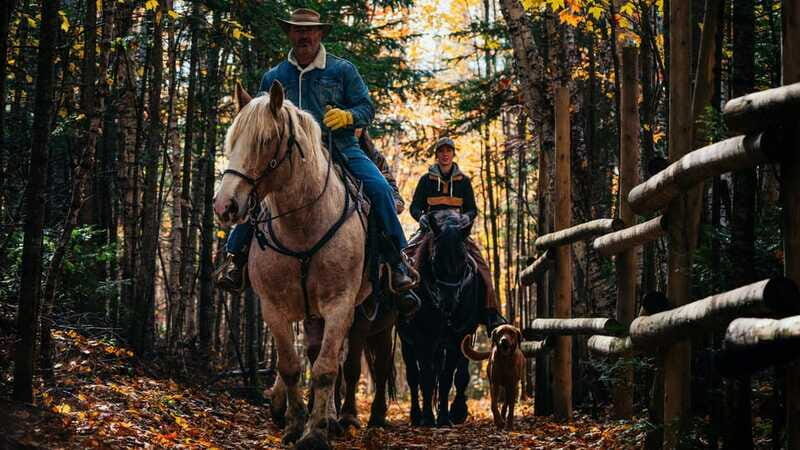 The Montagnarde: Guided horseback ride on mountain trails. - Final thoughts