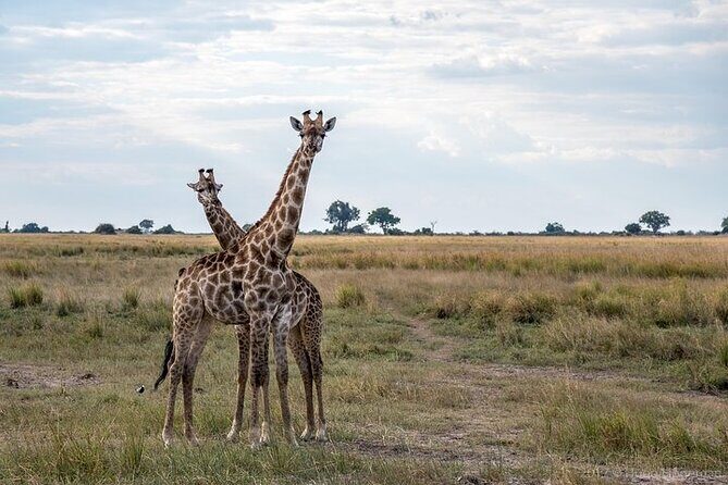 The Mosi oa Tunya National Park Game Drive - FAQ — Your Practical Questions Answered