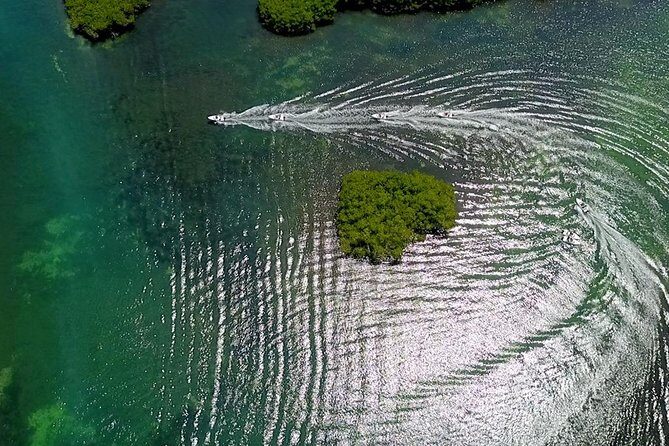 The most EXTREME SPEEDBOAT TOUR in Cancun. Includes Snorkel and Tour Guide - The Complete Experience: What to Expect