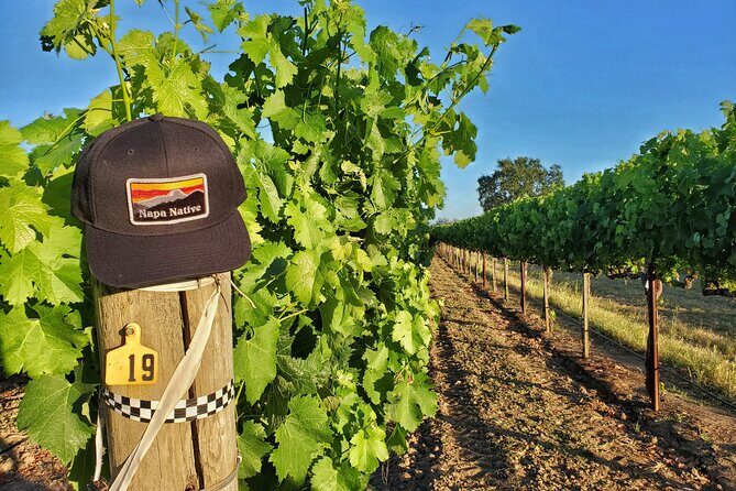 The Napa Native Experience - The Sum Up