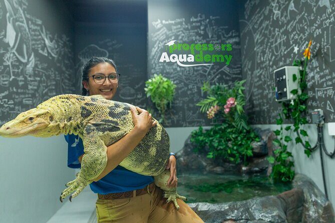 The National Aquarium Abu Dhabi Ticket - Who Will Love This Tour?