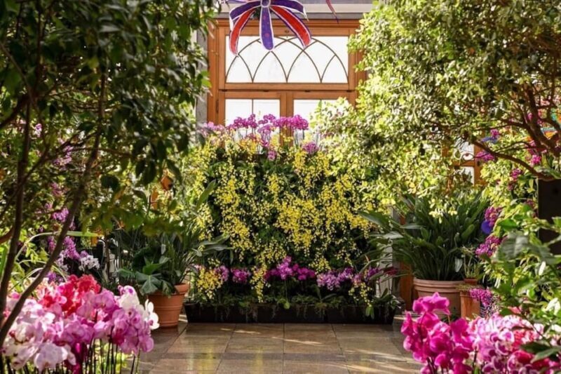 The New England Botanic Garden Day Trip from Boston - The Sum Up