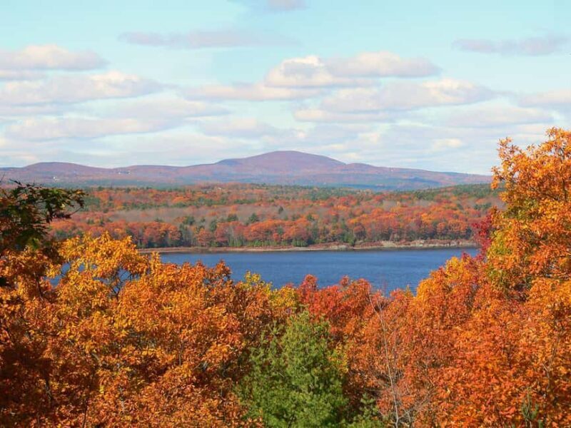 The New England Botanic Garden Day Trip from Boston - FAQ